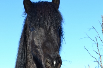 sprettur2(400x266)