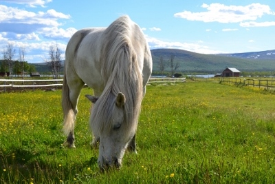 Hvellur4 (400x267)