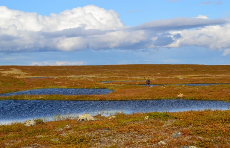 flerdags72(800x533)