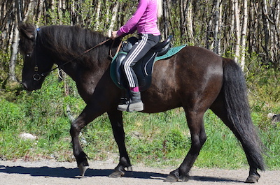 gneisti4(400x267)