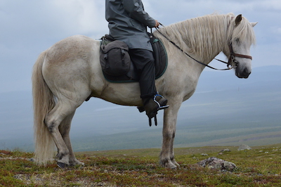 kapteinn4(400x267)