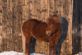 20210319-IMG_6534