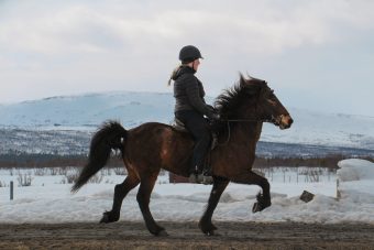 27042021-IMG_7677