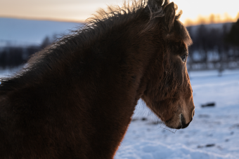 Skärmavbild 2026-03-14 kl. 09.07.44