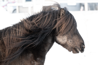 Skärmavbild 2026-03-14 kl. 16.16.08